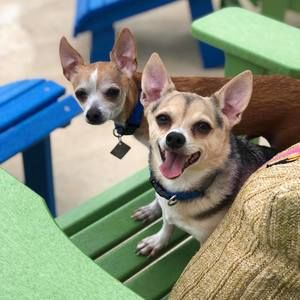 Meet your Posher, Stacy